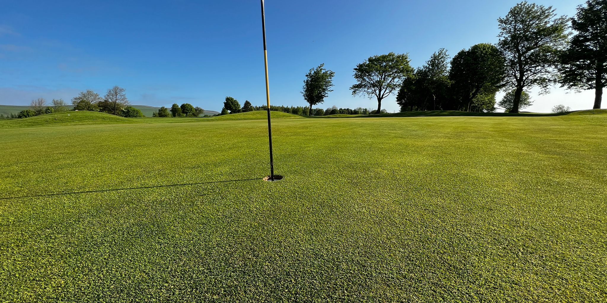 WhatsApp Image 2026-02-19 at 07.35.19